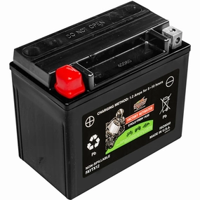 12v 10ah Factory Activated Cycle-tron Plus Agm Powersports Battery