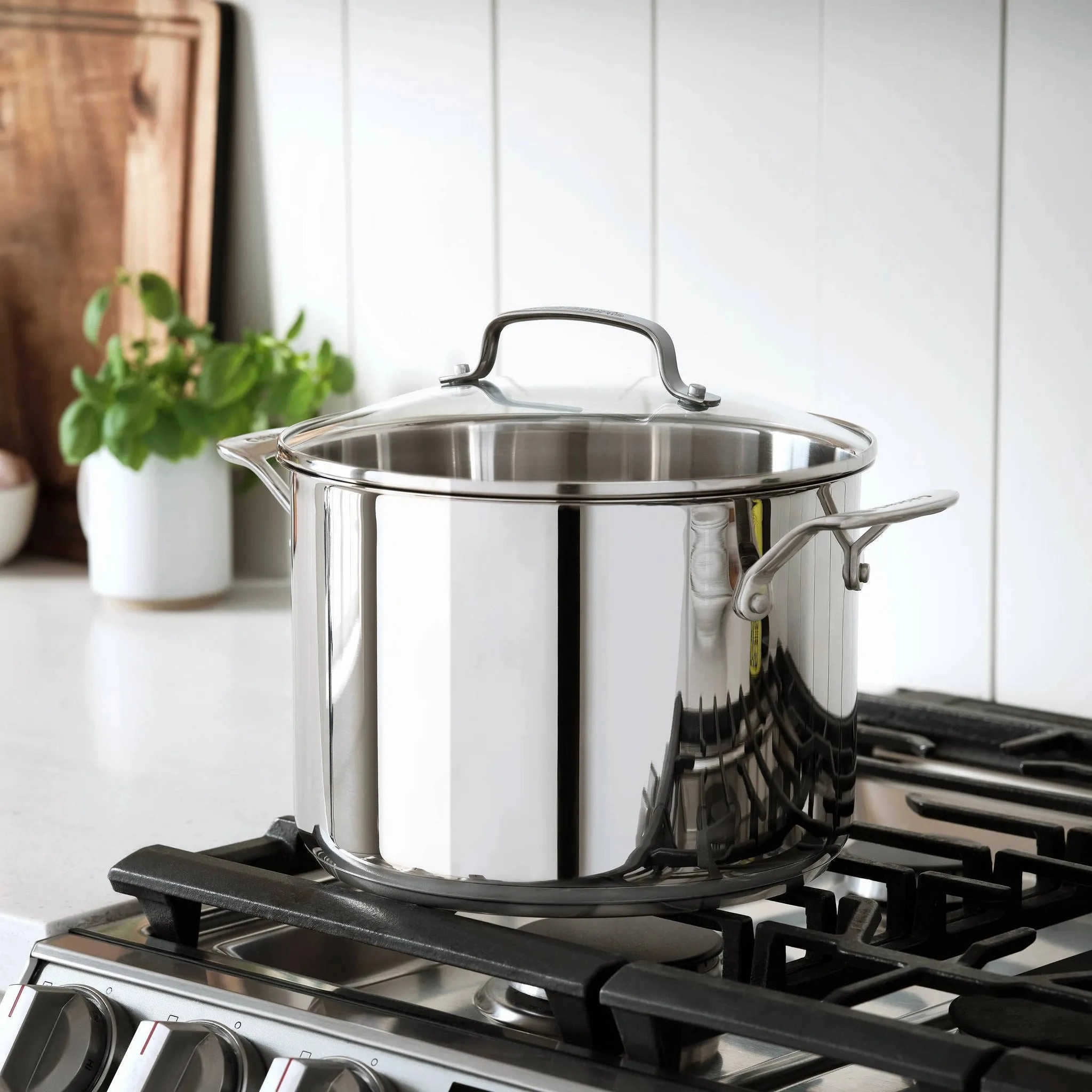 Classic 8qt Stainless Steel Stock Pot with Cover (See Description)