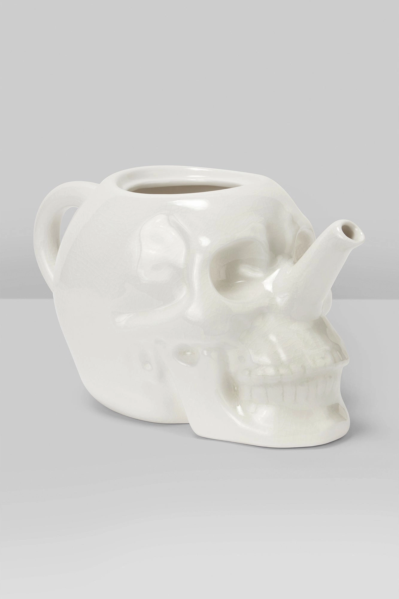 Cranium Plant Pot