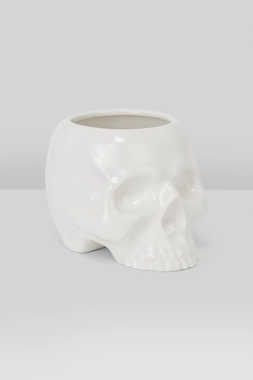Cranium Planter