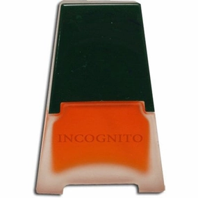Incognito by Dana