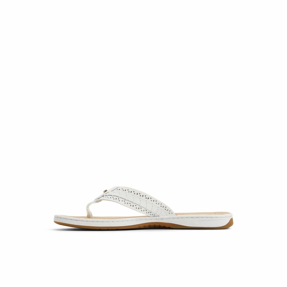 Seafish 3 Flip Flop Sandal